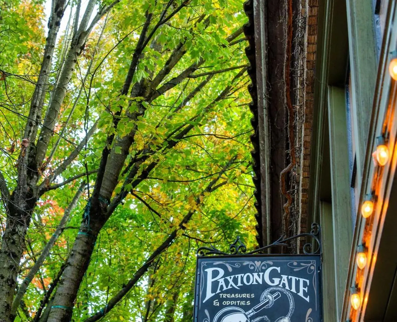 Stay Portland - 1910 Historic Jessie Morehead House - 98 Walkscore Värdshus